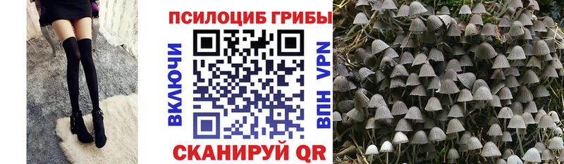 Псилоцибиновые грибы Magic Shrooms  kraken ONION  Соль-Илецк 